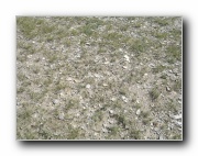 Click to enlarge this image